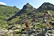 PIZZO FARNO (2506 m) ad anello con lo spettacolo dei Laghi Gemelli il 3 agosto 2019 - FOTOGALLERY